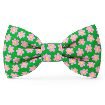 Flower Power Dog Bow Tie from The Foggy Dog