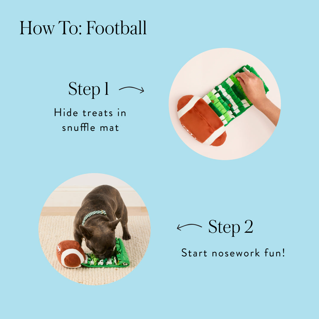 Football Interactive Snuffle Dog Toy from The Foggy Dog