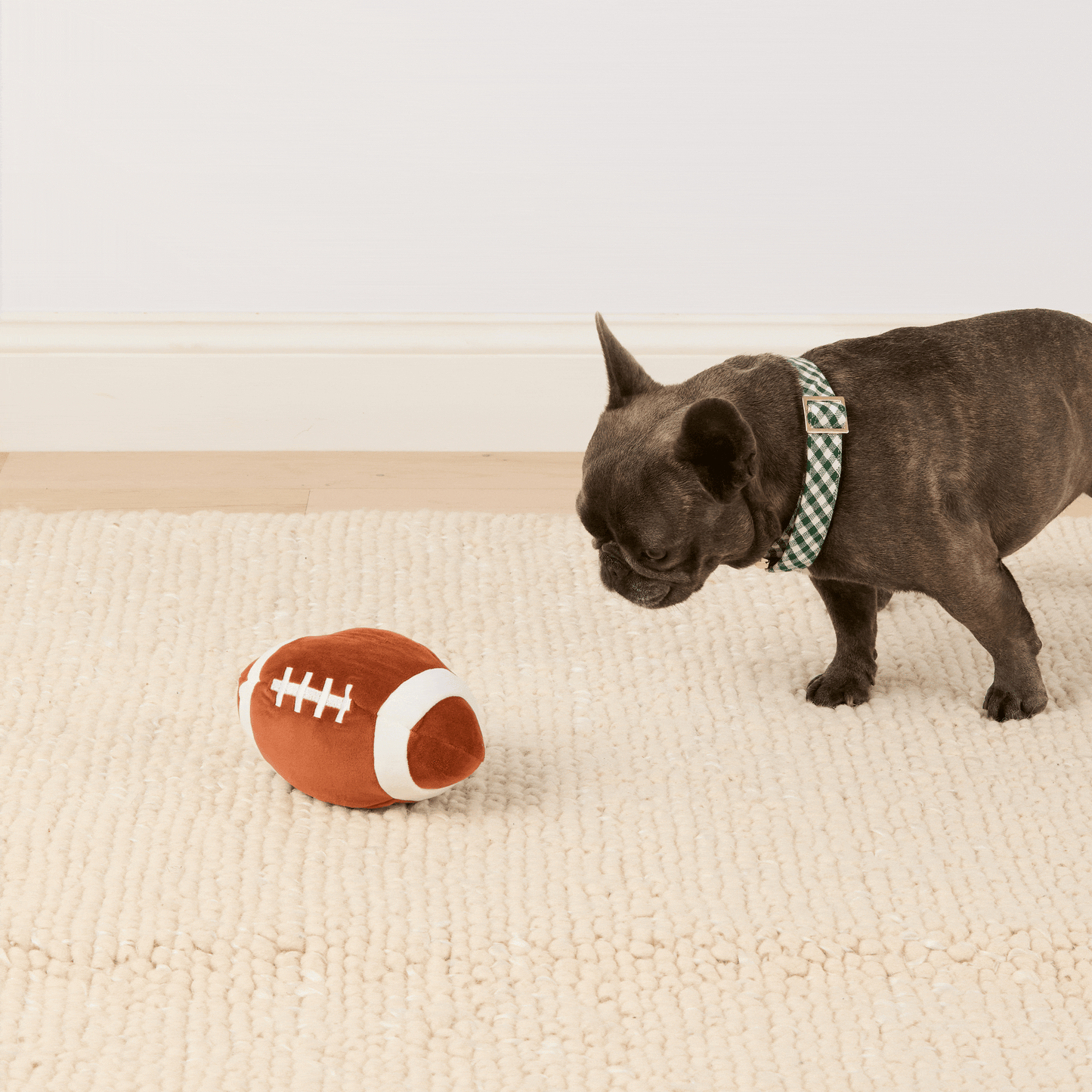 Football Interactive Snuffle Dog Toy from The Foggy Dog