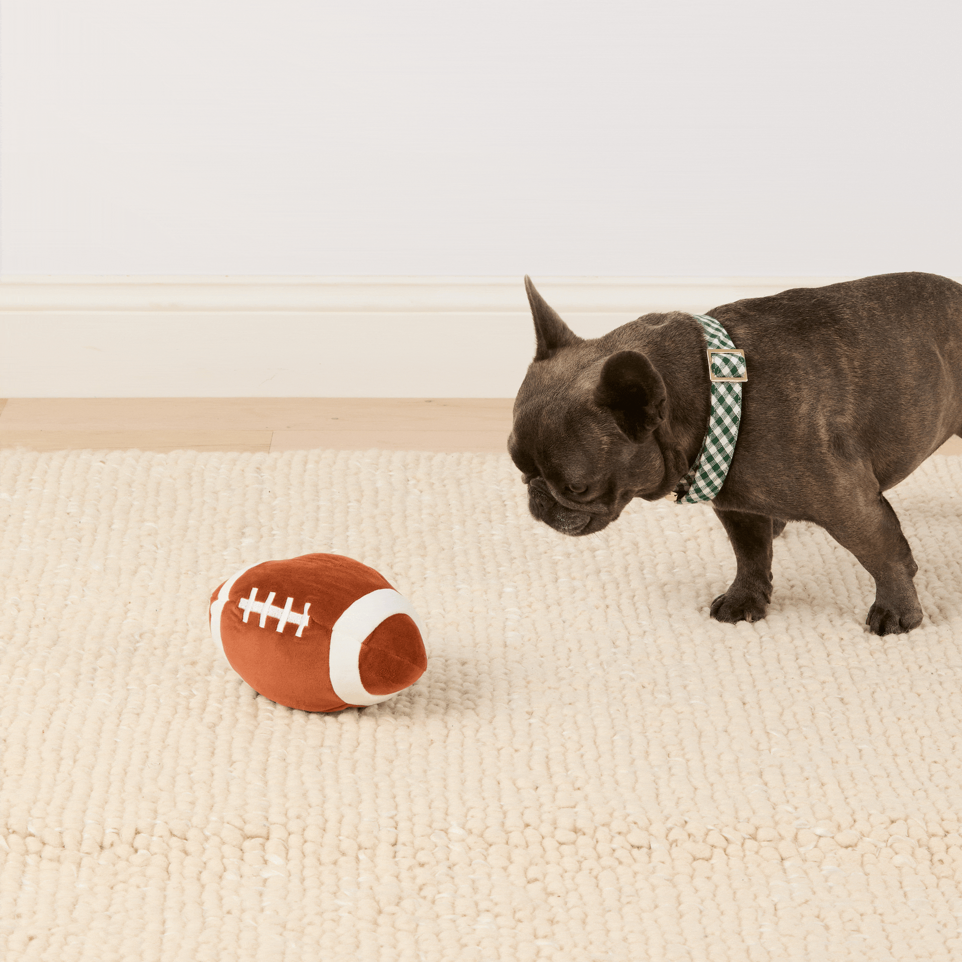 Football Interactive Snuffle Dog Toy from The Foggy Dog
