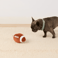 Football Interactive Snuffle Dog Toy from The Foggy Dog