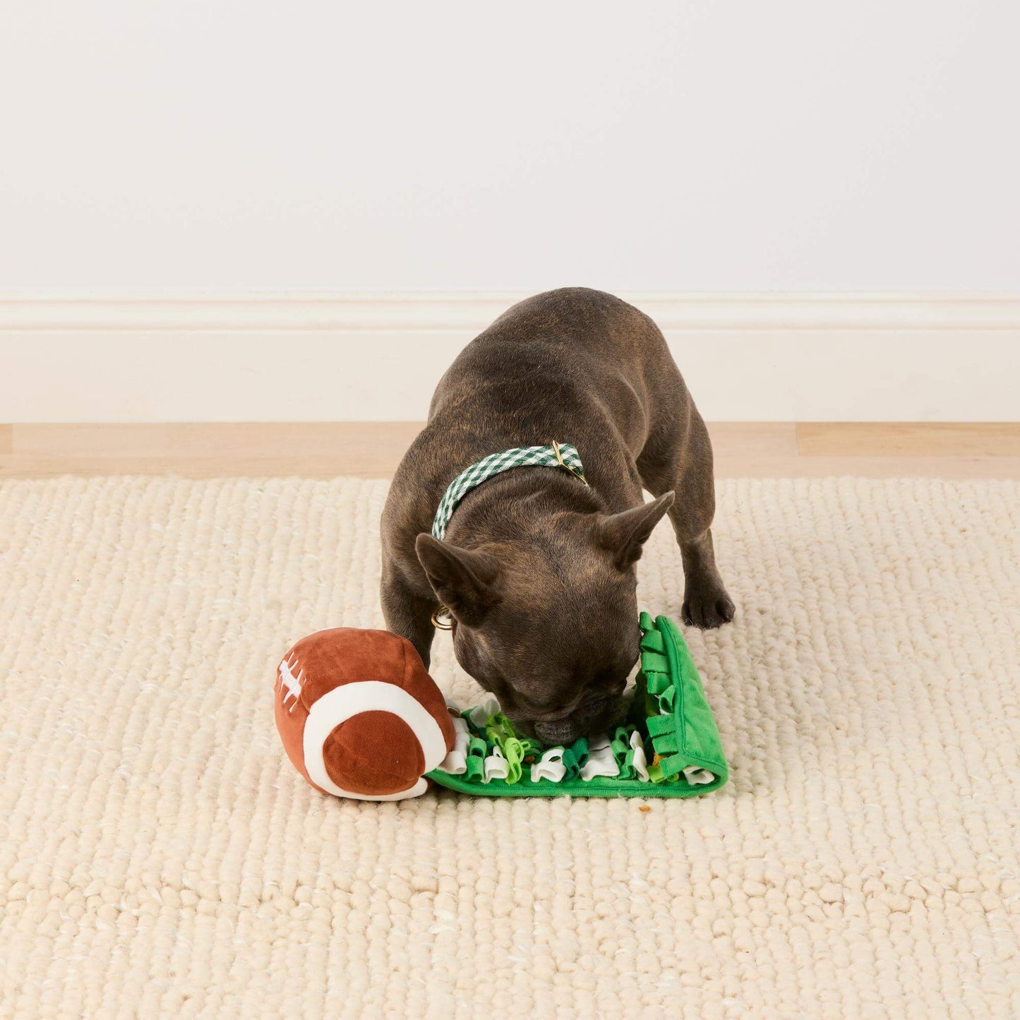 Football Interactive Snuffle Dog Toy from The Foggy Dog