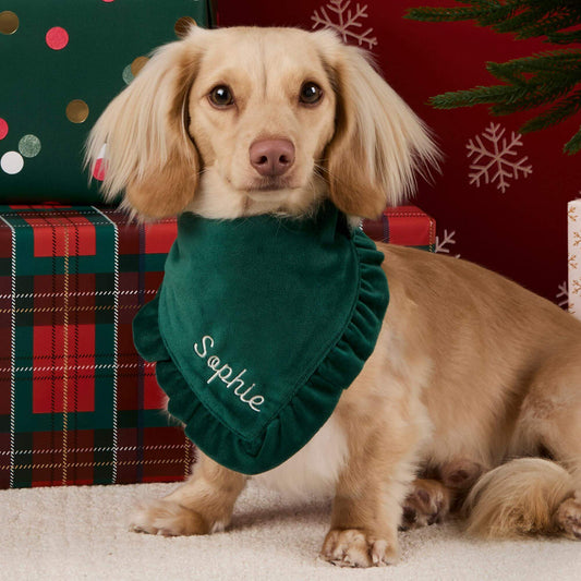 Forest Green Velvet Ruffled Dog Bandana view 2