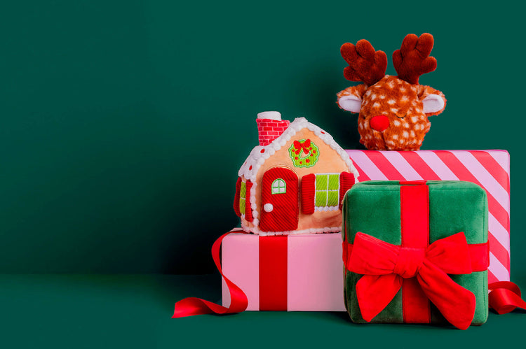 Holiday Gift Guide at The Foggy Dog