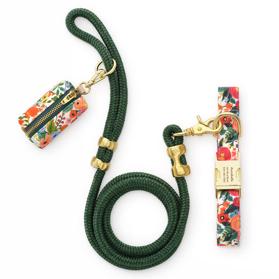 Rifle Paper Co. x TFD Garden Party Collar Walk Set from The Foggy Dog
