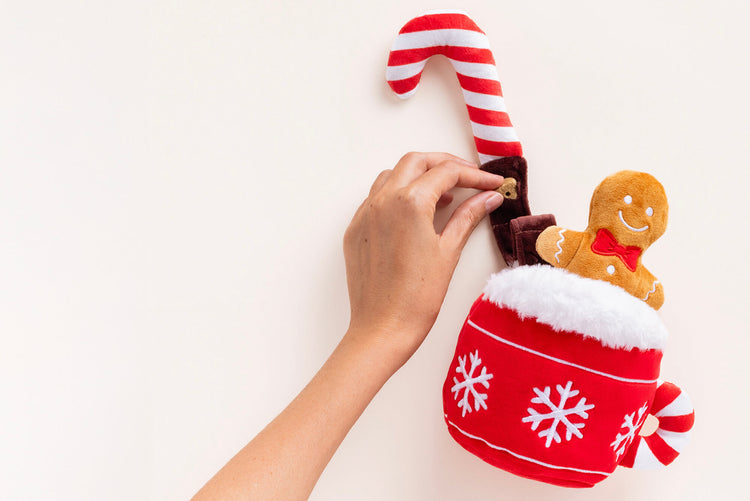 Holiday Gift Guide Hot Cocoa Toy from The Foggy Dog