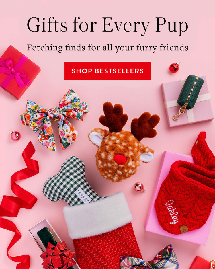 Gifts for Every Pup at The Foggy Dog