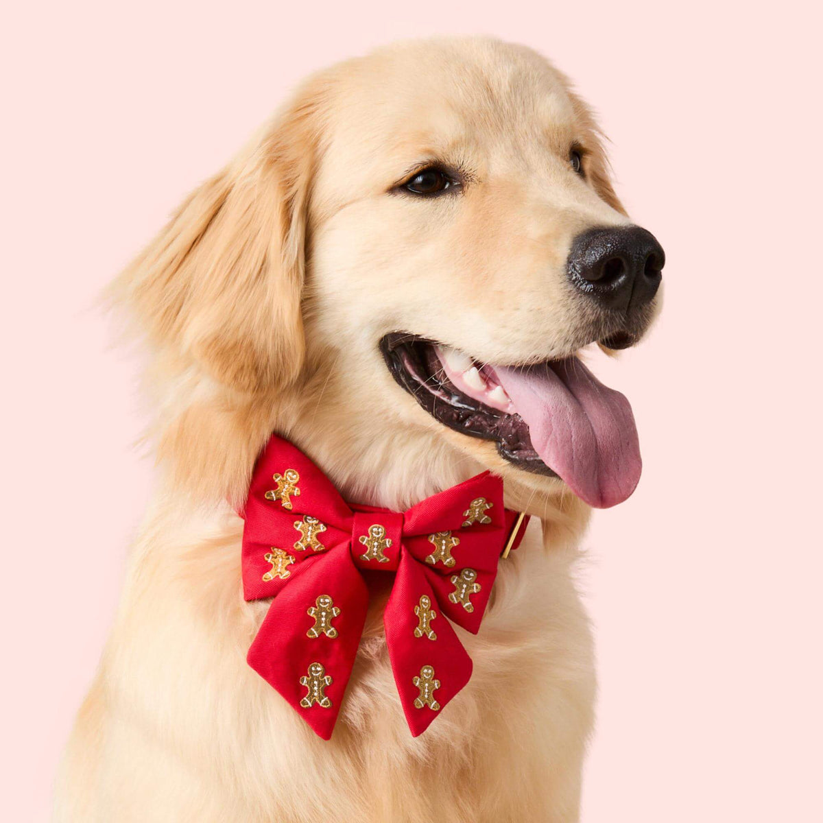 #Modeled by Peanut (40lbs) in a Medium collar and Large lady bow