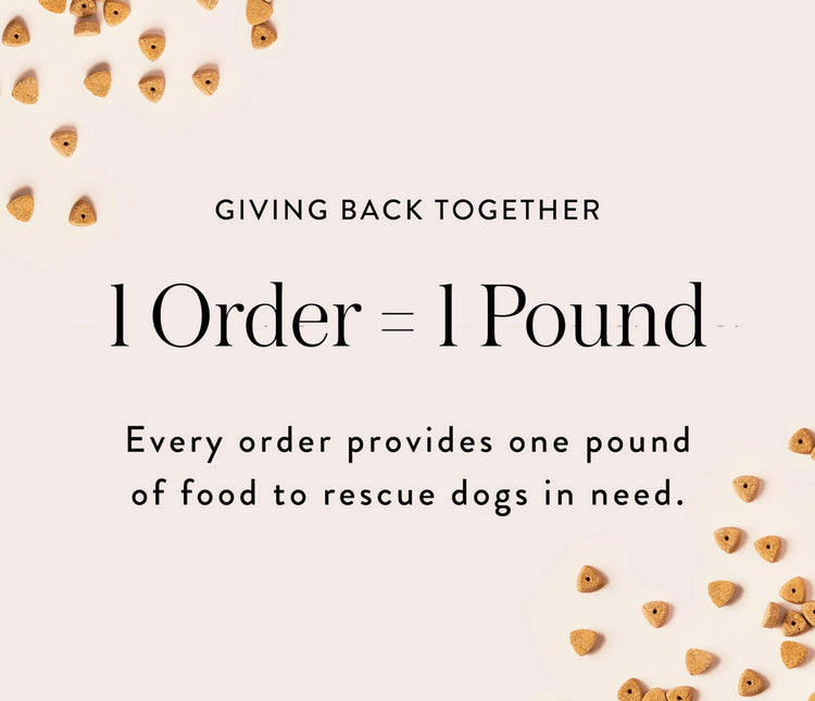 Giving Back 1 Order = 1 Pound of Dog Food. Every order provides one pound of food to rescue dogs in need at The Foggy Dog