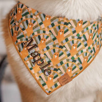 #Modeled by Ollie (30lbs) in Medium