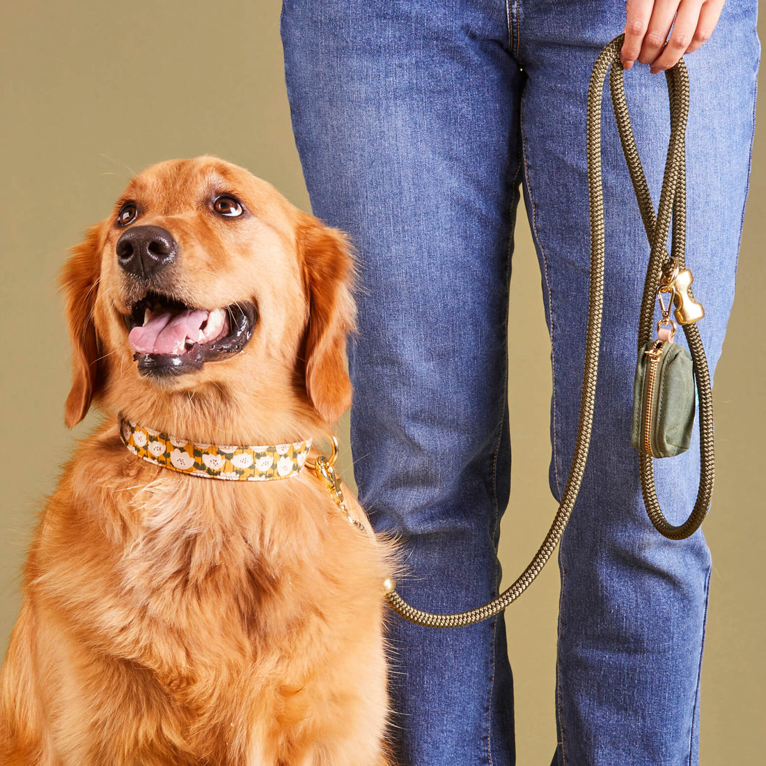 Goldenflowers Dog Collar The Foggy Dog