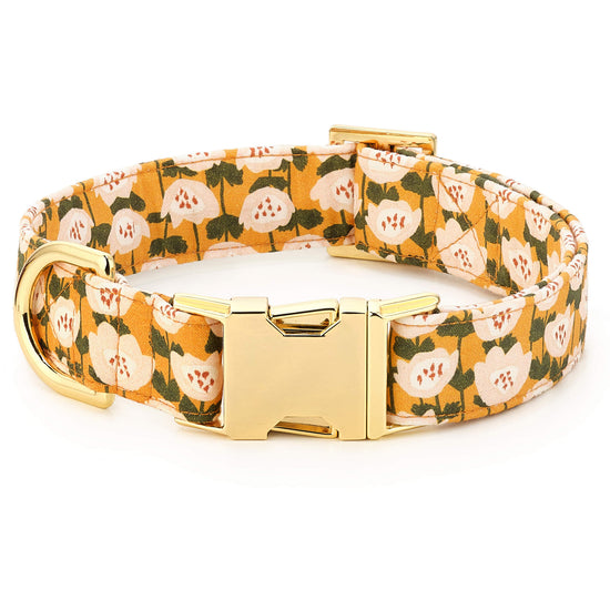 Goldenflowers Dog Collar