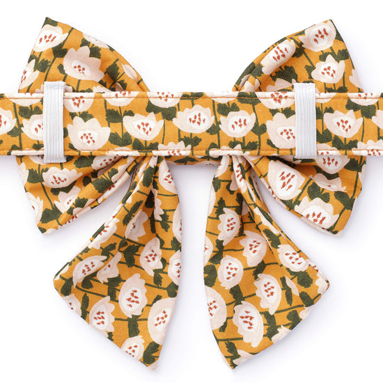 Goldenflowers Lady Bow Collar