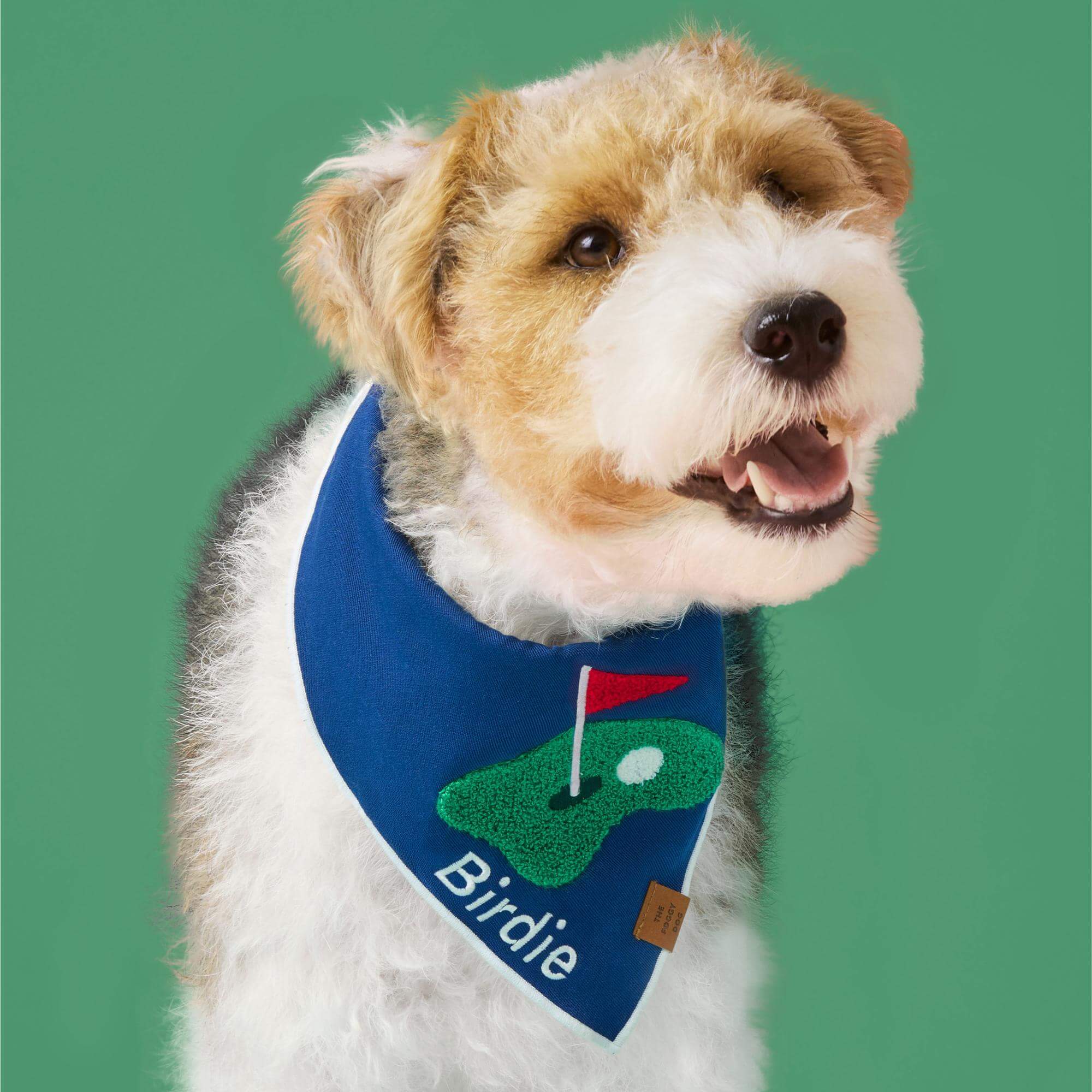 Golf Applique Dog Bandana – The Foggy Dog