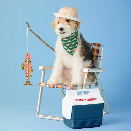 #Modeled by Sesame (27lbs) in Medium