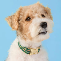 #Modeled by Sesame (27lbs) in Medium