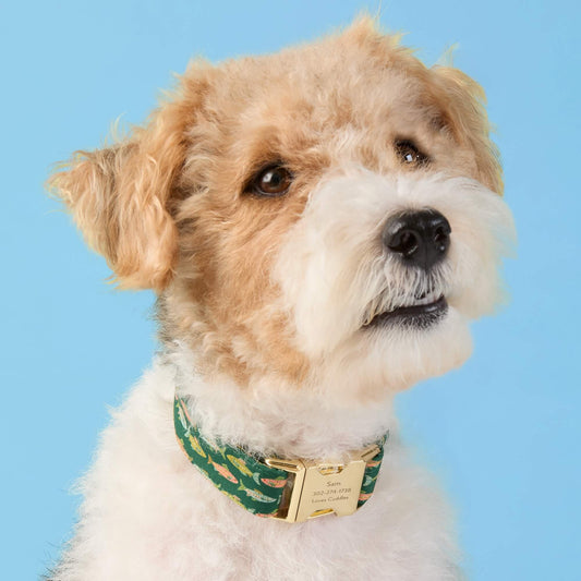 #Modeled by Sesame (27lbs) in Medium