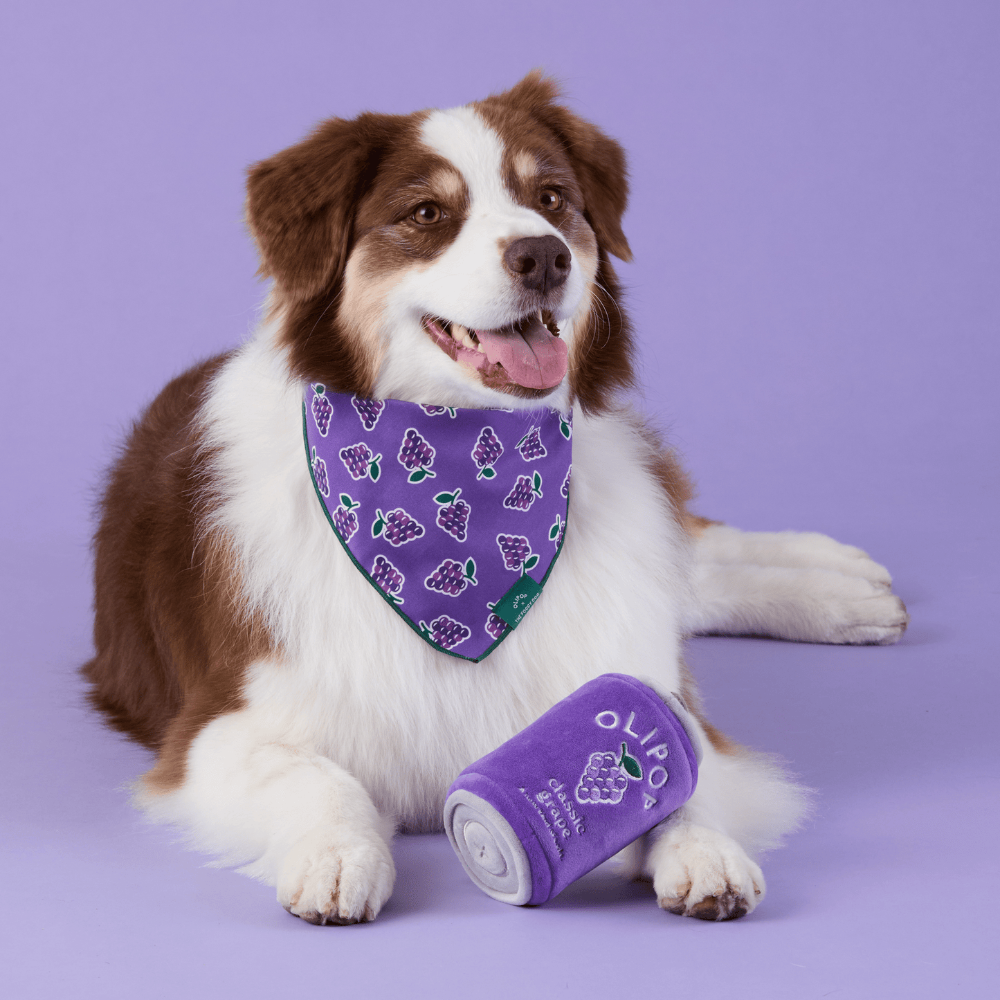 OLIPOP x TFD Classic Grape Interactive Snuffle Dog Toy from The Foggy Dog