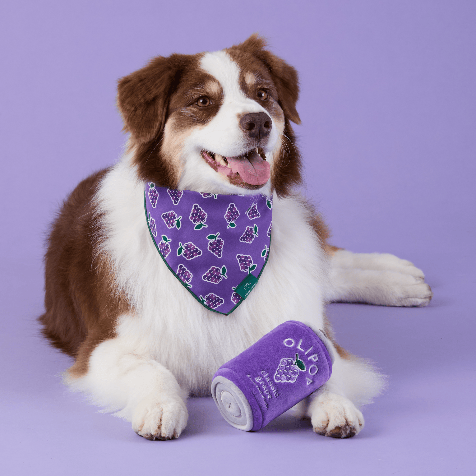 OLIPOP x TFD Classic Grape Interactive Snuffle Dog Toy from The Foggy Dog
