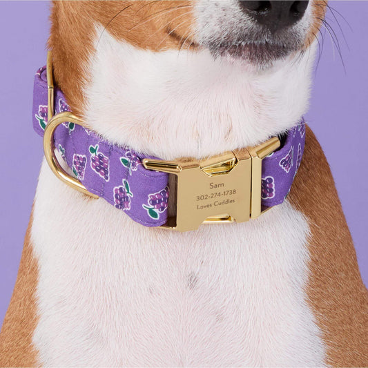 #Modeled by Ricky (26lbs) in Medium