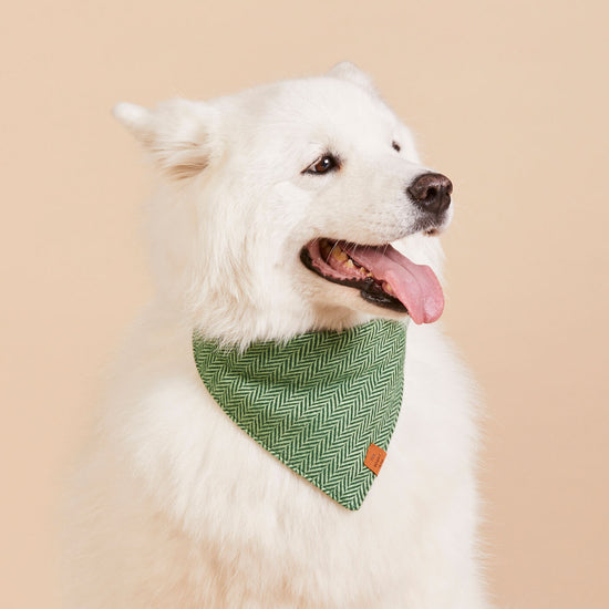 Green Herringbone Flannel Dog Bandana