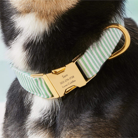 #Modeled by Blue (30lbs) in Medium