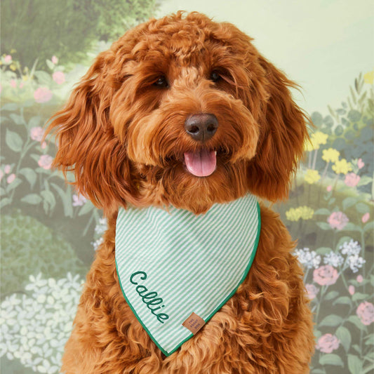 #Modeled by Quinn (24lbs) in Medium