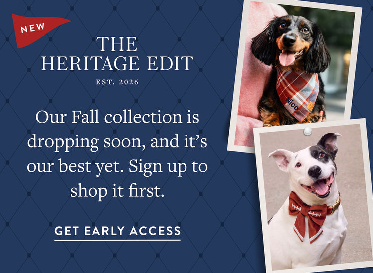 The Heritage Edit. Our Fall collection is dropping soon, and it's our best yet. Sign up to shop it first. Get early access at The Foggy Dog