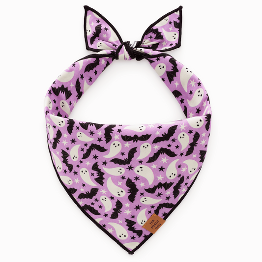Spooky Season Reversible Dog Bandana from The Foggy Dog
