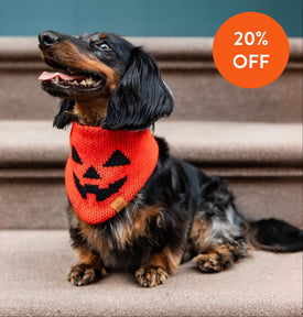 20% off Halloween at The Foggy Dog