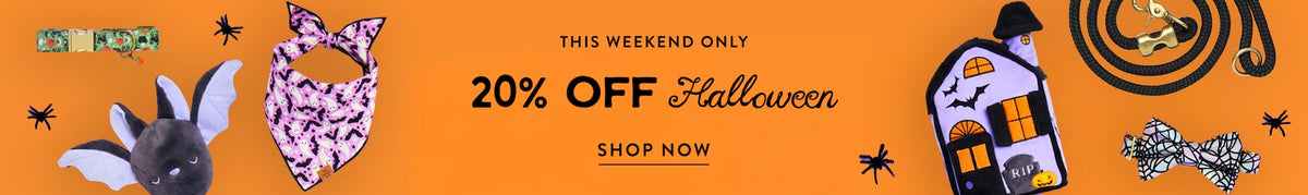 Halloween sale 20% off at The Foggy Dog
