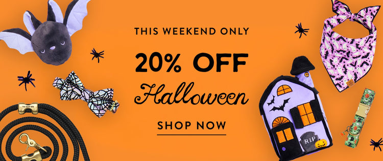 Halloween sale 20% off at The Foggy Dog