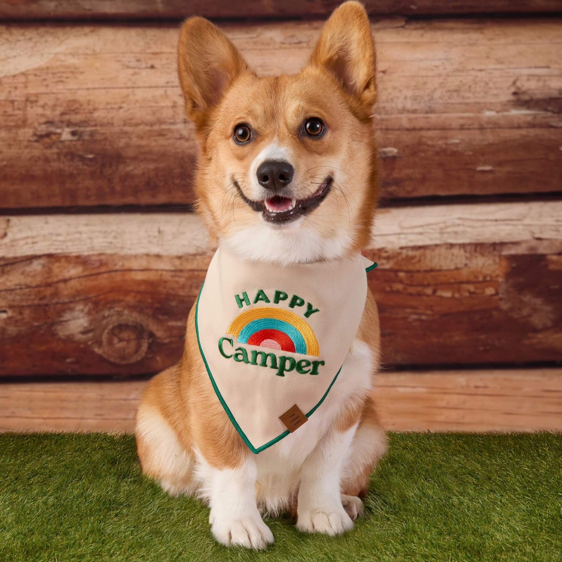 #Modeled by Foxy (20lbs) in Medium