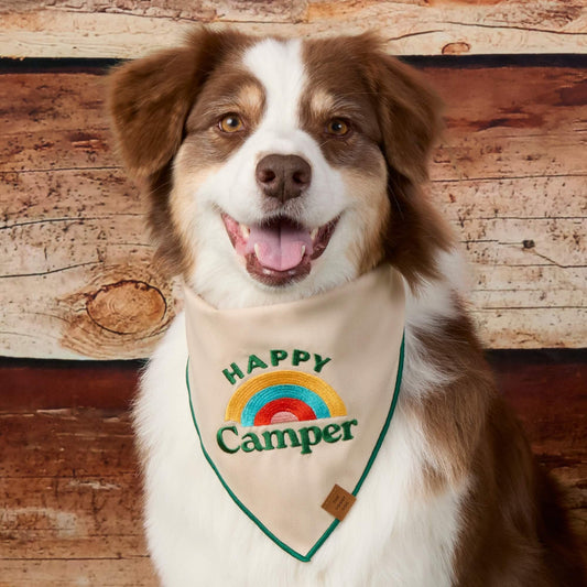 #Modeled by Sis (30lbs) in Medium