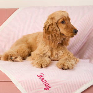 #Modeled by Honey (13lbs) on Midi