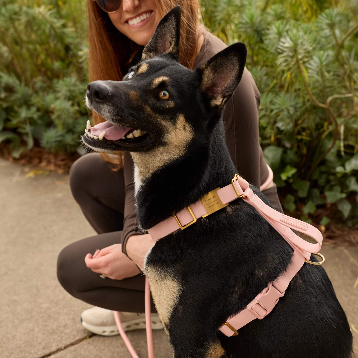 Active Flex Dog Harness - With Handle (M/L), Shell view 9