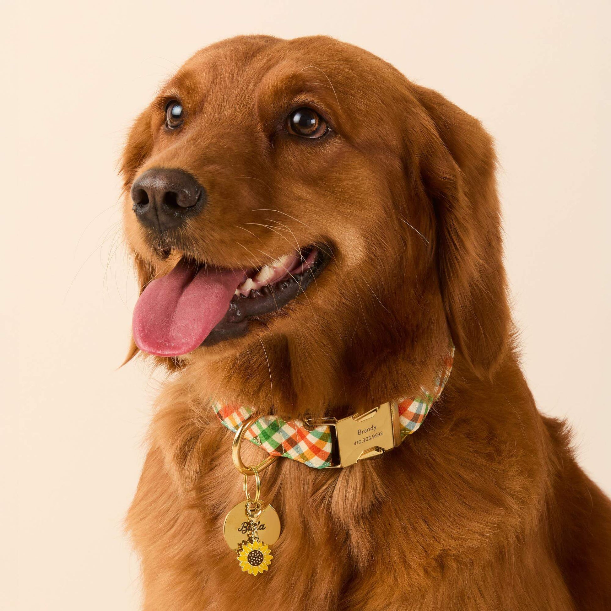 #Modeled by Maple (45lbs) in Medium