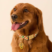 #Modeled by Maple (45lbs) in Medium