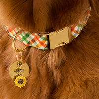 A close-up of a dog collar worn by a brown dog. The collar has a multicolor plaid pattern with green, orange, and white, a gold-tone metal buckle engraved with the name 'Brandy' and a phone number, and a gold-tone keyring with a round gold tag and a yellow sunflower charm.
