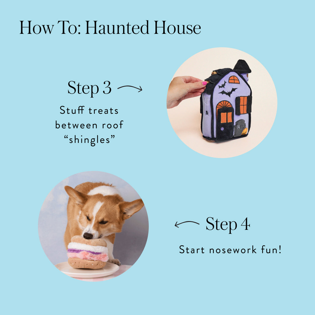Haunted House Interactive Snuffle Dog Toy from The Foggy Dog