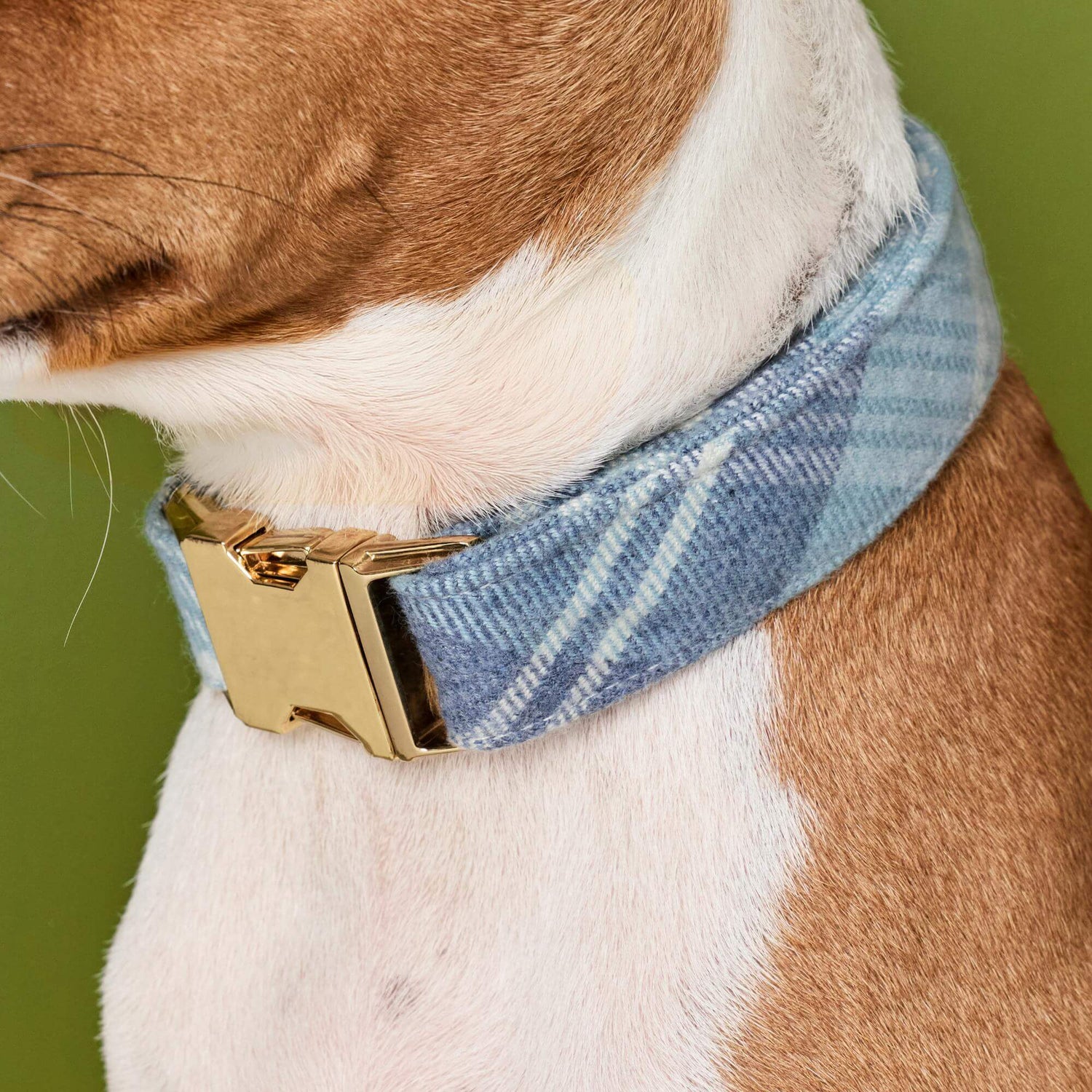 #Modeled by Ricky (27lbs) in Medium