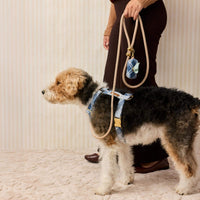 Hawthorne Plaid Flannel Waste Bag Holder from The Foggy Dog