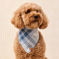 #Modeled by Utah (35lbs) in Medium