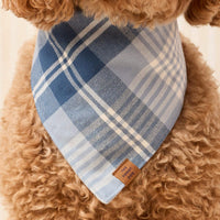 #Modeled by Utah (35lbs) in Medium
