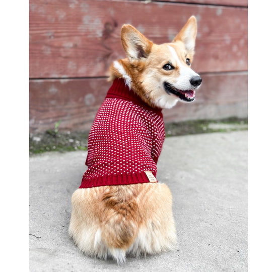 Heart Stitch Dog Sweater