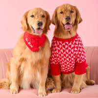 #Modeled by Blitz (55lbs) in Large