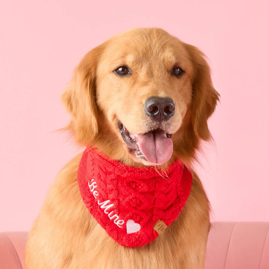 #Modeled by Riddle (55lbs) in Large