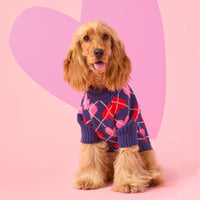 #Modeled by Honey (13lbs) in Small