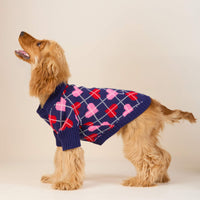 #Modeled by Honey (13lbs) in Small
