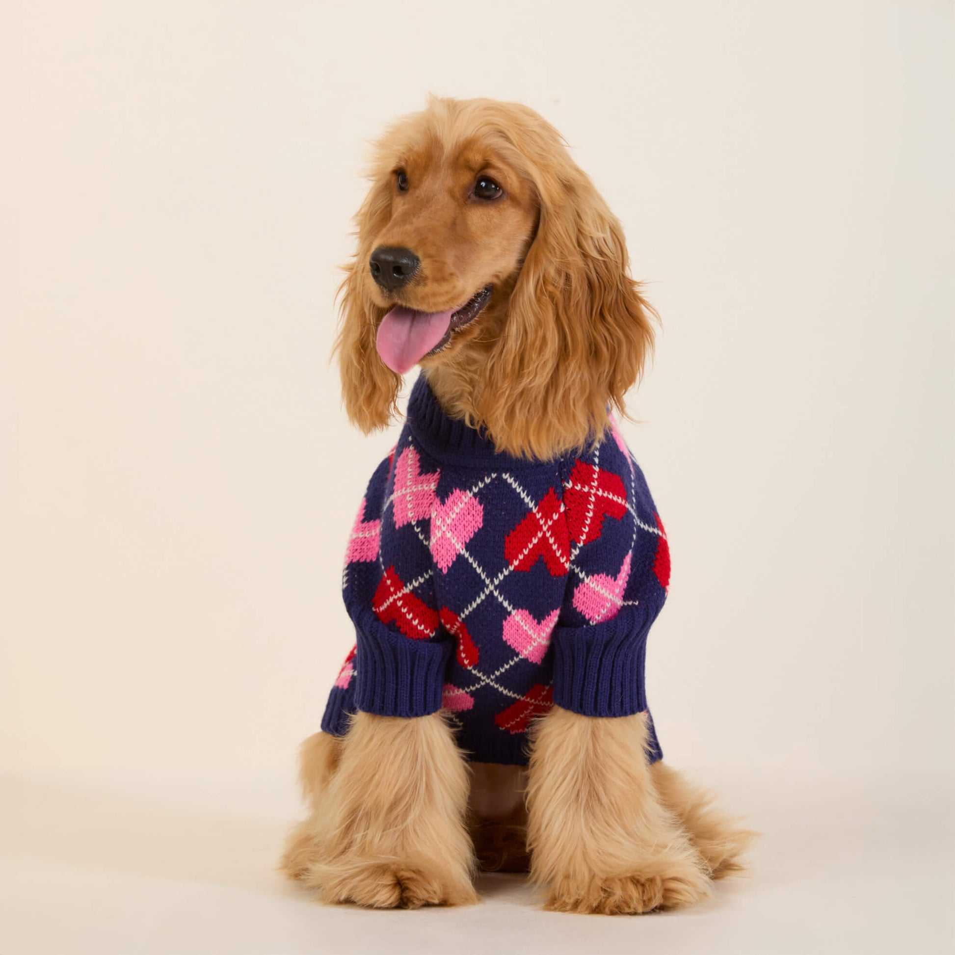 #Modeled by Honey (13lbs) in Small